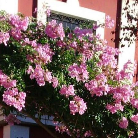 Casa Bignonia Salteras Exterior foto