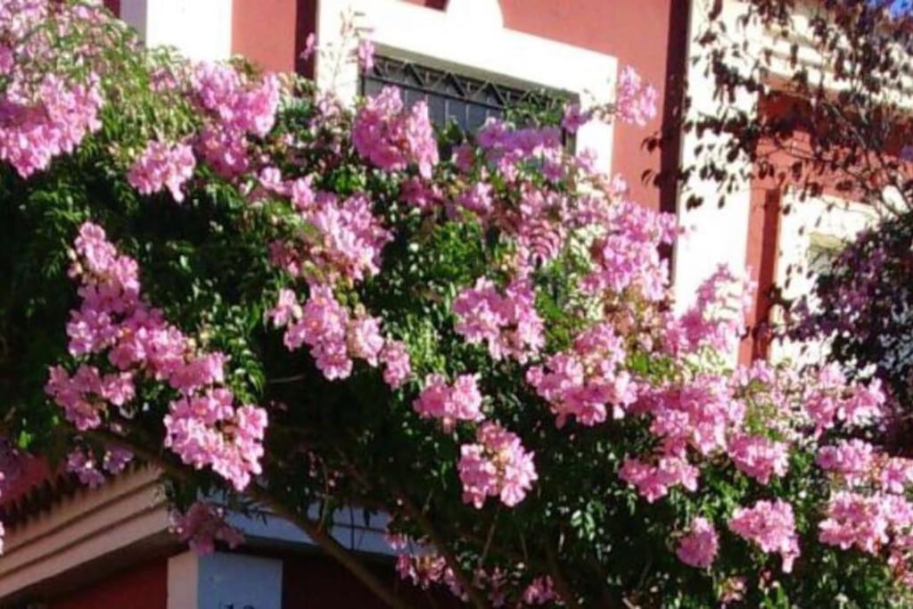 Casa Bignonia Salteras Exterior foto